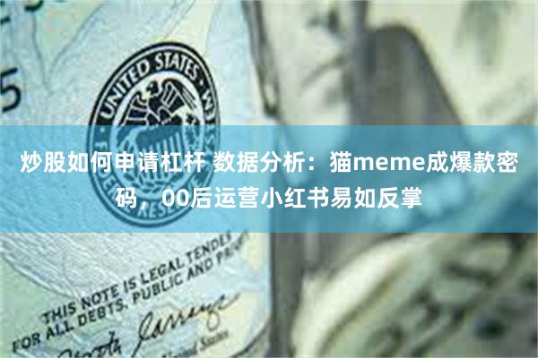 炒股如何申请杠杆 数据分析：猫meme成爆款密码，00后运营小红书易如反掌