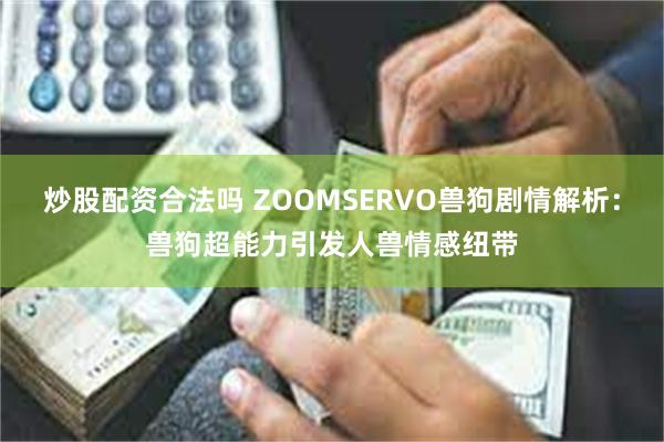 炒股配资合法吗 ZOOMSERVO兽狗剧情解析：兽狗超能力引发人兽情感纽带