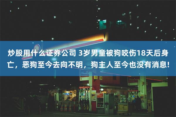 炒股用什么证券公司 3岁男童被狗咬伤18天后身亡，恶狗至今去向不明，狗主人至今也没有消息!