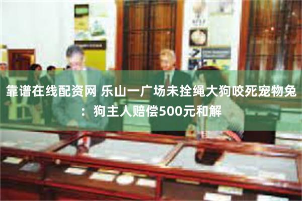 靠谱在线配资网 乐山一广场未拴绳大狗咬死宠物兔：狗主人赔偿500元和解