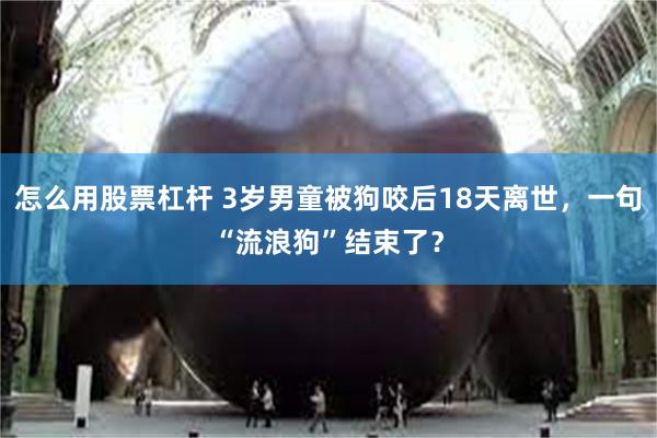 怎么用股票杠杆 3岁男童被狗咬后18天离世，一句“流浪狗”结束了？