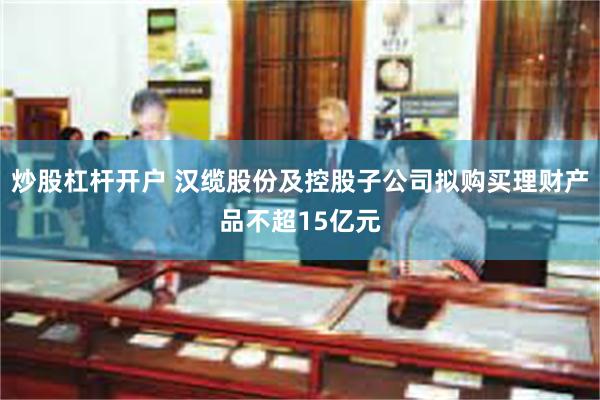 炒股杠杆开户 汉缆股份及控股子公司拟购买理财产品不超15亿元