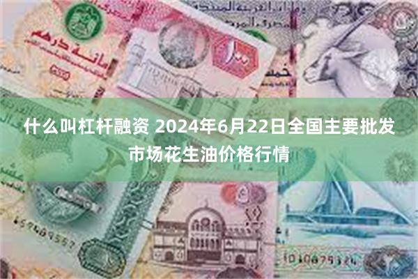 什么叫杠杆融资 2024年6月22日全国主要批发市场花生油价格行情