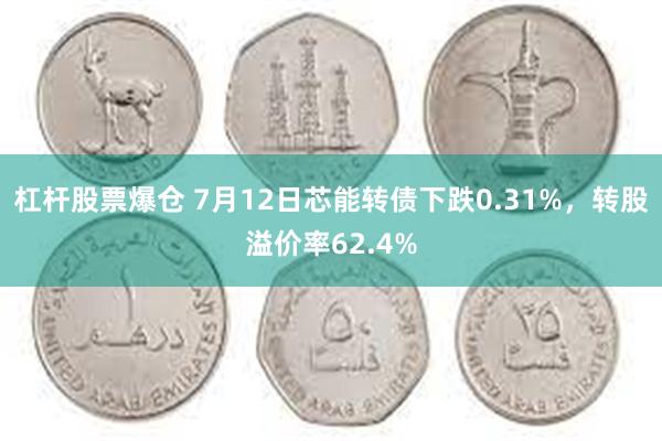 杠杆股票爆仓 7月12日芯能转债下跌0.31%，转股溢价率62.4%