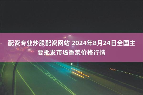 配资专业炒股配资网站 2024年8月24日全国主要批发市场香菜价格行情