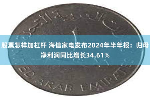 股票怎样加杠杆 海信家电发布2024年半年报：归母净利润同比增长34.61%