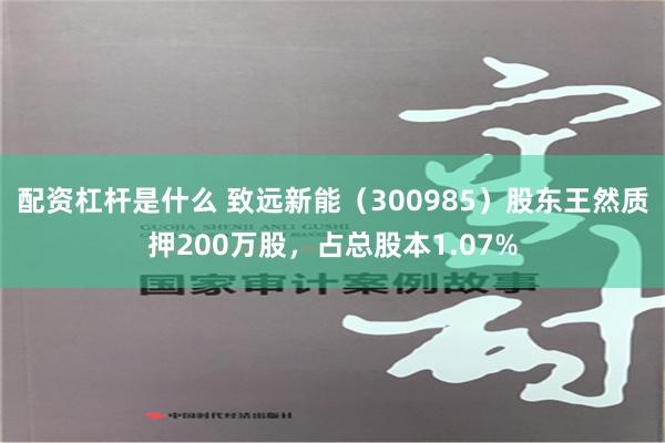 配资杠杆是什么 致远新能（300985）股东王然质押200万股，占总股本1.07%