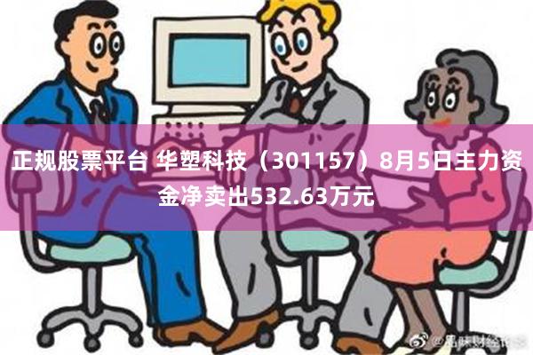 正规股票平台 华塑科技（301157）8月5日主力资金净卖出532.63万元