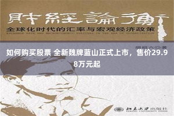 如何购买股票 全新魏牌蓝山正式上市，售价29.98万元起