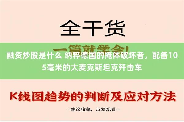 融资炒股是什么 纳粹德国的掩体破坏者，配备105毫米的大麦克斯坦克歼击车