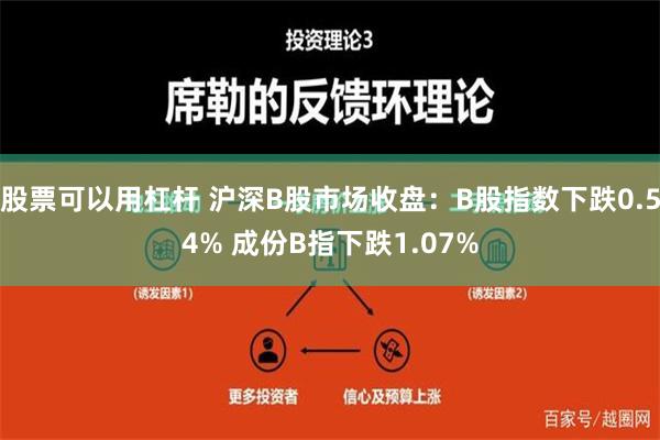 股票可以用杠杆 沪深B股市场收盘：B股指数下跌0.54% 成份B指下跌1.07%