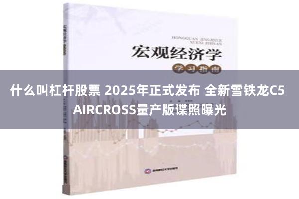 什么叫杠杆股票 2025年正式发布 全新雪铁龙C5 AIRCROSS量产版谍照曝光