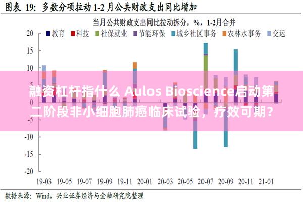 融资杠杆指什么 Aulos Bioscience启动第二阶段非小细胞肺癌临床试验，疗效可期？